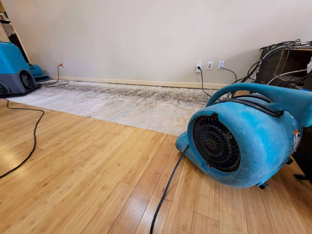 Professional Water Damage Repair technician working in Princeton, MN